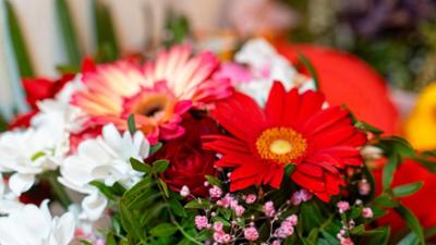 Schnittgut. Alles aus dem Garten: Schnittgut, 23.01.26: Wie halten Blumen am längsten?