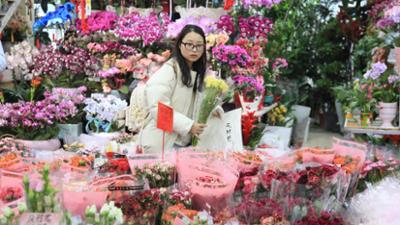 Schnittgut. Alles aus dem Garten: Schnittgut, 27.03.26: Globaler Schnittblumenhandel