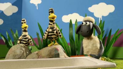 Shaun das Schaf: Zebra-Enten Shaun das Schaf: Zebra-Enten