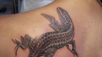 Stiche unter die Haut - Jugend-Trend Tattoo: Jugendtrend Tattoo