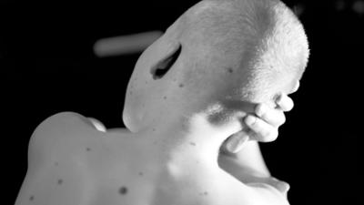 Streetphilosophy: Strebe nach Schönheit!