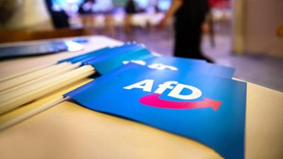 Tagesgespräch: Ein Parteitag und viele Proteste: Wie denken Sie über die AfD?