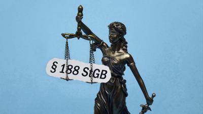 Tagesgespräch: Schwachkopf und Lügenfritz: Müssen Politiker solche Beleidigungen aushalten?