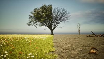 Tagesgespräch: Haupt- oder Nebensache: Wie stehen Sie zum Klimaschutz?