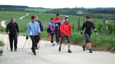 Tele-Gym: Folge 1: Nordic Walking