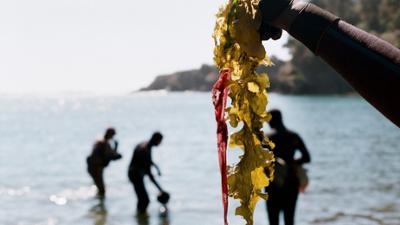 The Earthshot Prize - Repairing Our Planet: The Earthshot Prize (4/5) · Unsere Ozeane wiederbeleben