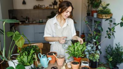 treffpunkt medizin: Raumklima · Wie wir in den eigenen vier Wänden gesund bleiben