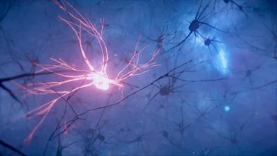 treffpunkt medizin: Gesundheitsmythen · Gehirn