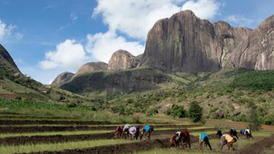Tropische Inseln: · Madagaskar
