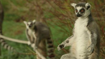 Umwelt, Gene, Erfahrung: was Verhalten beeinflusst Umwelt, Gene, Erfahrung: was Verhalten beeinflusst