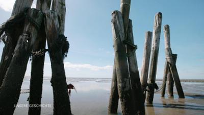 Urknall im Watt - Als die Umwelt wichtig wurde