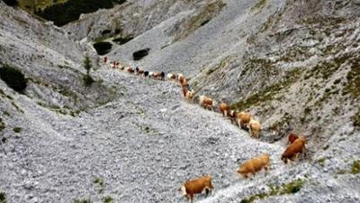 Wenn der Herbst durchs Mürztal zieht