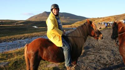 Willi wills wissen: Expedition Island - Eine tierisch gute Insel!