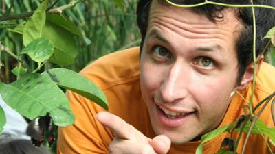 Willi wills wissen: Das kreucht und fleucht und summt und brummt! Willi wills wissen: Das kreucht und fleucht und summt und brummt!