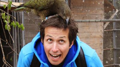 Willi wills wissen: Wie schlau sind Tiere? Willi wills wissen: Wie schlau sind Tiere?