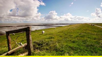 Wunderschön! (40): Pellworm · Grüne Insel im Wattenmeer