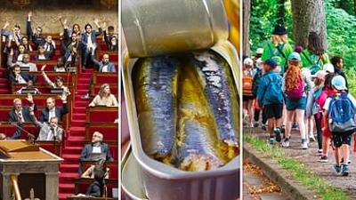 28 Minuten: Der "Code Noir", außerschulische Betreuung, Sardinen (29.05.2026)