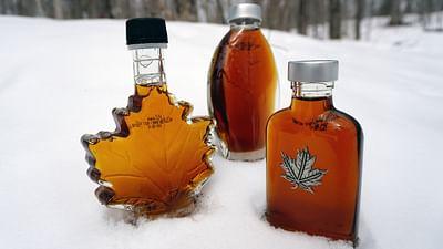 360° Reportage: Ahornsirup, Kanadas süßer Schatz