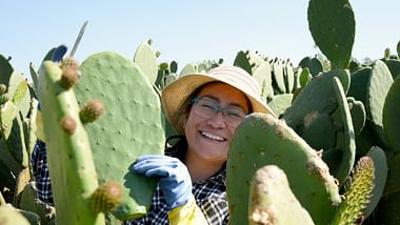 360° Reportage: Nopal, der Alleskönner aus Mexiko