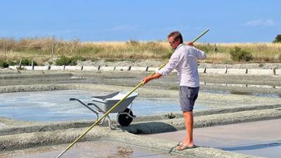 360° Reportage: Das weiße Gold von Noirmoutier
