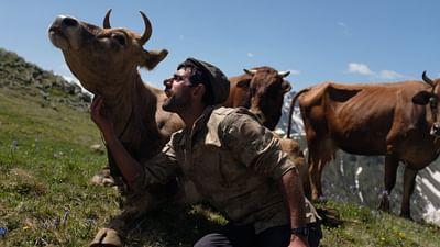 360° Reportage: Türkei: Die Kühe von Tahpur