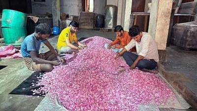 360° Reportage: Der Duft Indiens