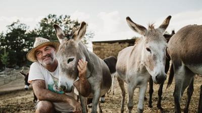360° Reportage: Montenegro: Der Eselretter