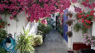 360° Reportage: Córdoba, die Stadt der Patios