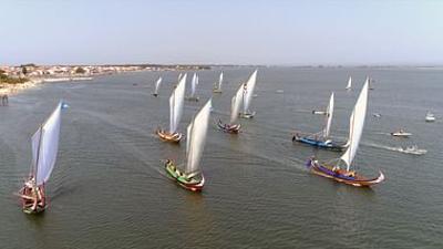360° Reportage: Portugal: Die Regatta der Moliceiros