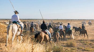 Abenteuer Spanien: Wildes Andalusien