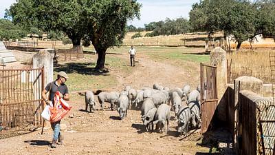 Abenteuer Spanien: Der unbekannte Westen