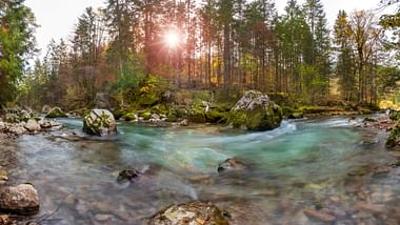 An den Ufern der Loisach