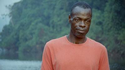 Anamocot: Die Antwort der Vogelspinne