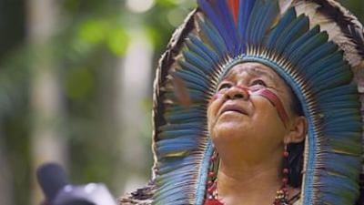 Apotheke Regenwald: Die magischen Pflanzen des Amazonas