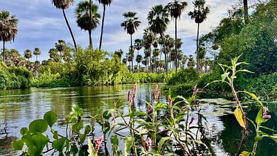 Argentinien: Chaco und Anden