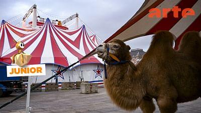 ARTE Journal: Wildtierverbot im Zirkus
