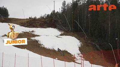 ARTE Journal: 24/12/2025