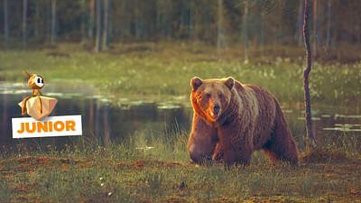 ARTE Journal: Finnlands Bären-Safari