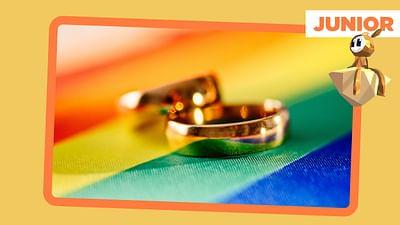 ARTE Journal: Homo-Ehe, überall in der EU?