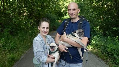 ARTE Re:: Re: Das Leiden der Modehunde - Niedlich, aber krankgezüchtet?