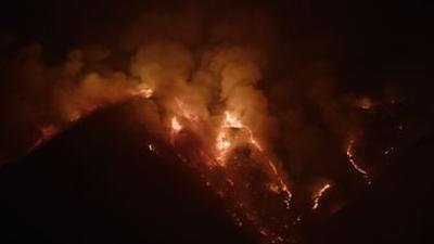 Asche und Wiedergeburt, in Spaniens Wäldern