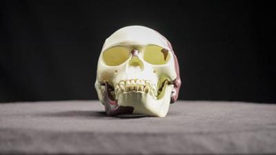 Betrug in der Wissenschaft