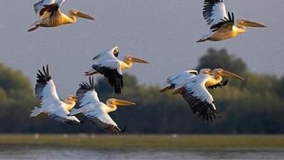 Das Donaudelta: Naturparadies am Rande Europas