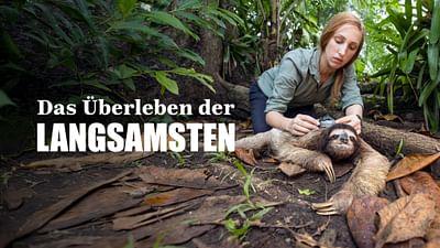 Das Überleben der Langsamsten