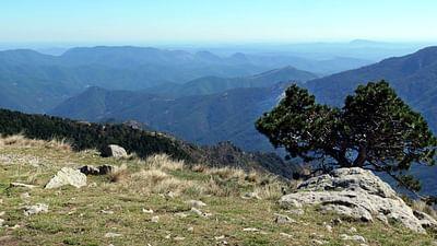 Das Zentralmassiv: Der Süden - Schroffe Berge, tiefe Täler