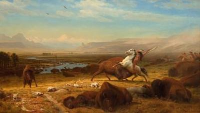 Der Amerikanische Bison (1/2): Seele der PrärieSeele der Prärie