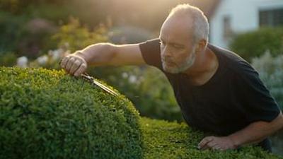 Der Gärtner, der Buddhist und der Spion