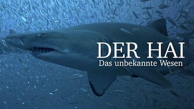 Der Hai - Das unbekannte Wesen Der Hai - Das unbekannte Wesen