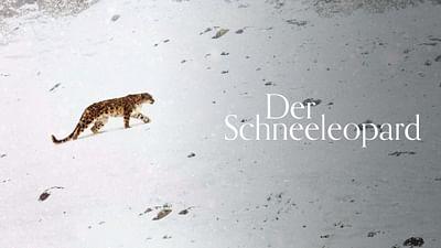 Der Schneeleopard
