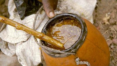 Die Bienenflüsterer: Äthiopien: Summende Schutzengel